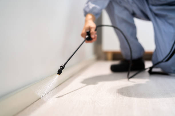 Licensed Cockroach Control service in Florence, TX - Nex Pest Control