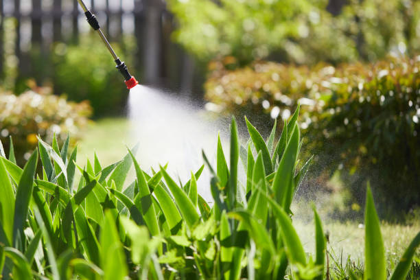 24/7 Emergency Cockroach Control experts in Florence, TX