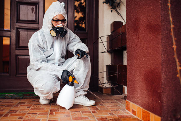Reliable Cockroach Control contractor in Florence, TX by Nex Pest Control